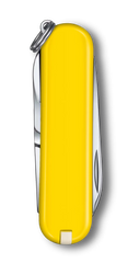 Classic SD Classic Colors