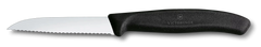 Swiss Classic Paring Knife, 3 in