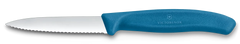 Swiss Classic Paring Knife, 3 in