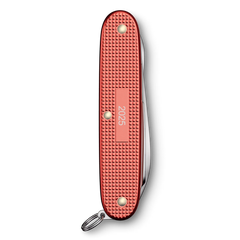 Pioneer X Alox Limited Edition 2025