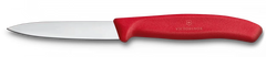 Swiss Classic Paring Knife, 3 in