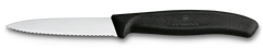 Swiss Classic Paring Knife, 3 in