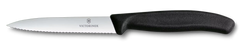 Swiss Classic Paring Knife, 4 in