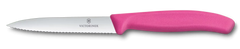Swiss Classic Paring Knife, 4 in